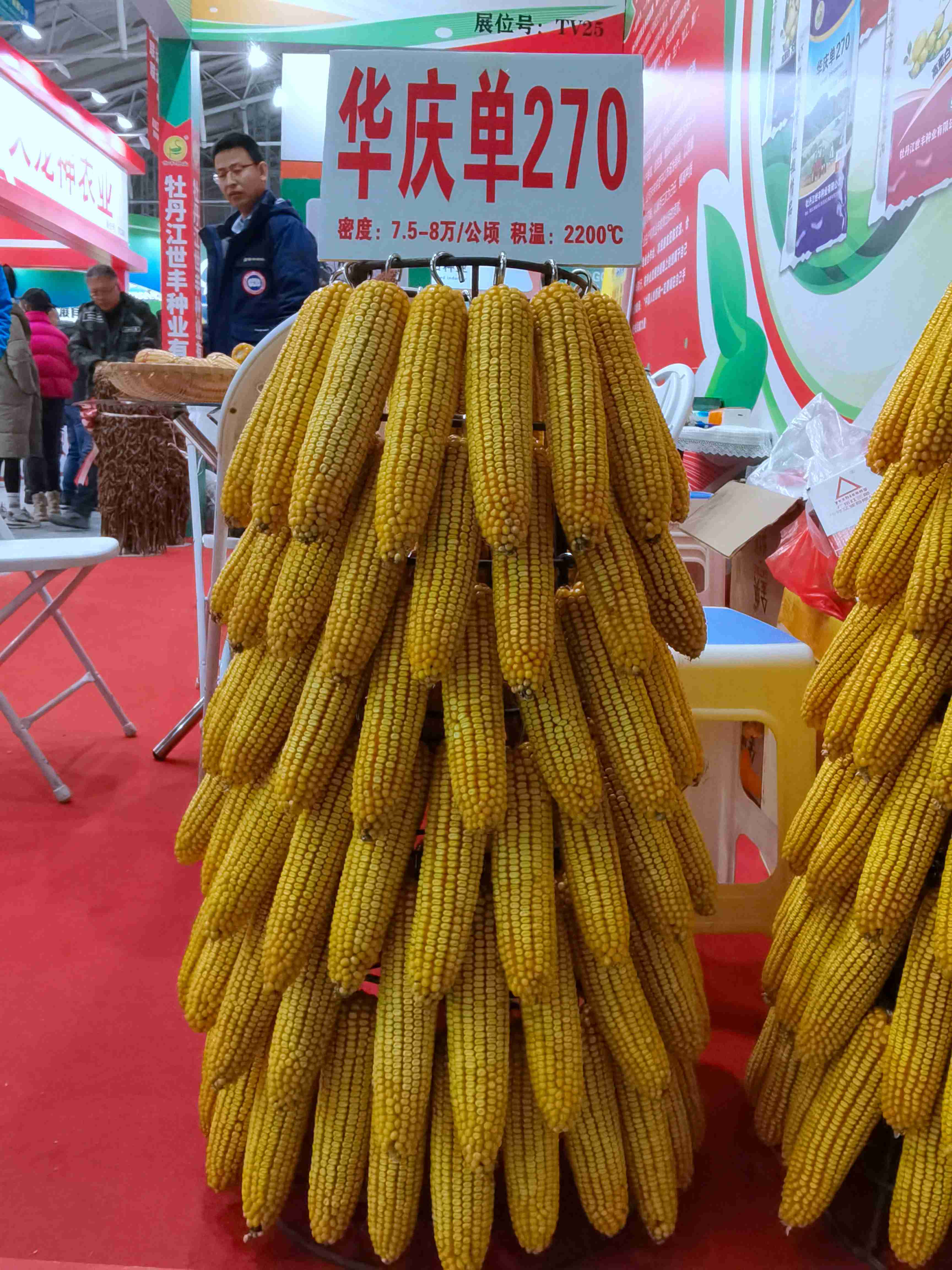華慶單270樣棒