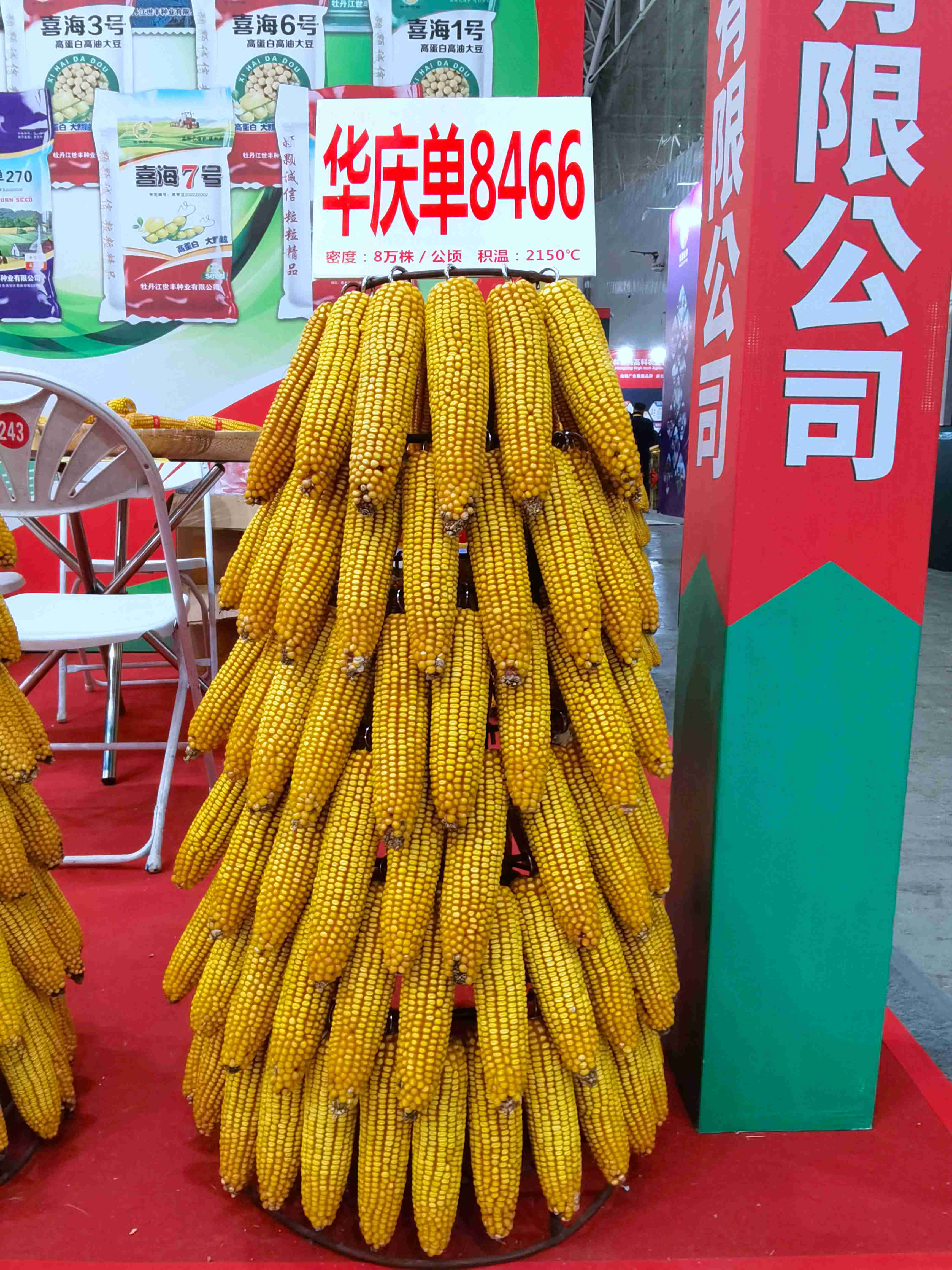 華慶單8466樣棒